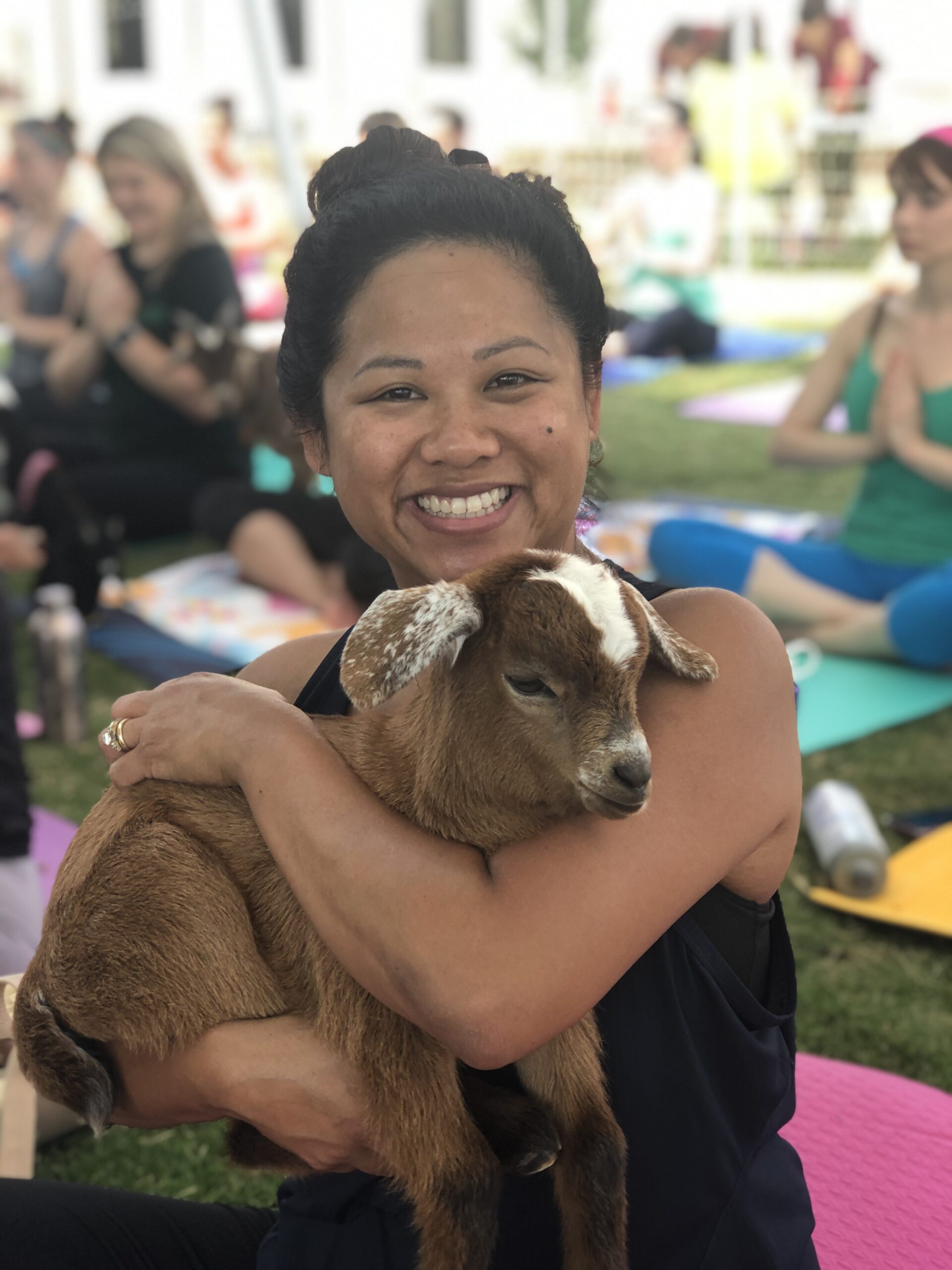 Goat Yoga